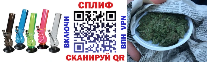 где купить наркоту  Анадырь  Конопля сатива 
